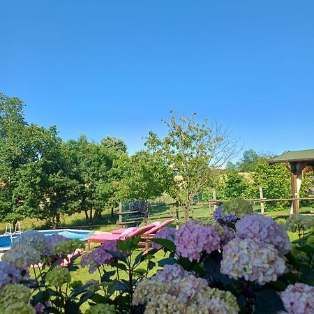 Bed and Breakfast La diligenza Tagliolo Monferrato Exterior foto